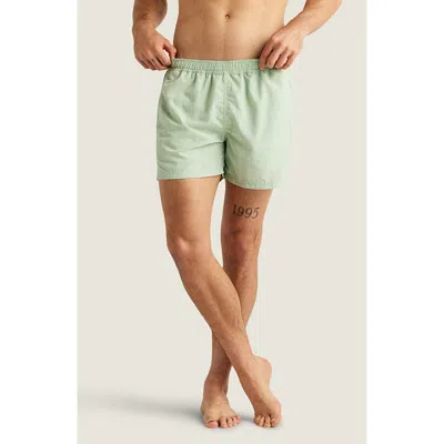 Auto-reply™ Sebastian Solid 4-inch Nylon Swim Trunks In Overcast