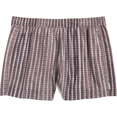Auto-reply™ Solid 4-inch Nylon Swim Trunks In Brown