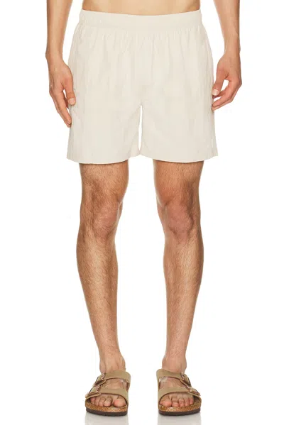 Auto-reply™ 5.5 Solid Sebastian Swim Trunk In White