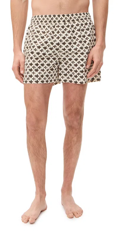 Auto-reply™ Printed Sebastian Swim Trunks 4 Relic/saltstone In White