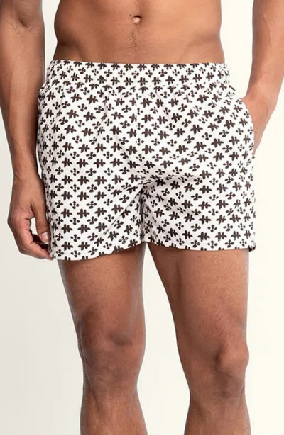 Auto-reply™ Sebastian Solid 4-inch Nylon Swim Trunks In Animal Print