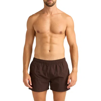 Auto-reply™ Sebastian Solid 4-inch Nylon Swim Trunks In Driftwood