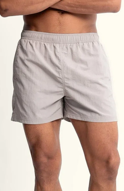 Auto-reply™ Sebastian Solid 4-inch Nylon Swim Trunks In Gray