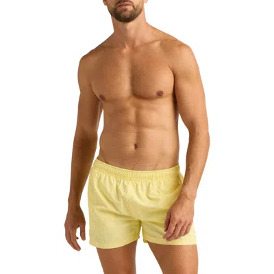 Auto-reply™ Sebastian Solid 4-inch Nylon Swim Trunks In Sulfur Light/pastel Yellow