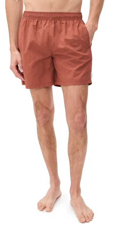 Auto-reply™ Solid Sebastian Swim Trunks 5.5 Terrasole In Brown
