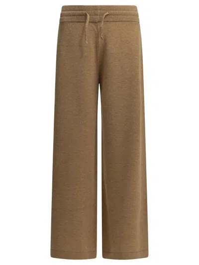 Autry Casual Wool And Cashmere Pants In Brown