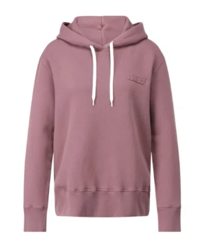 Autry Hooded Sweater In Brown