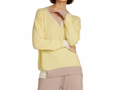 Autumn Cashmere Color Block V Sweater In Banana Combo In Yellow