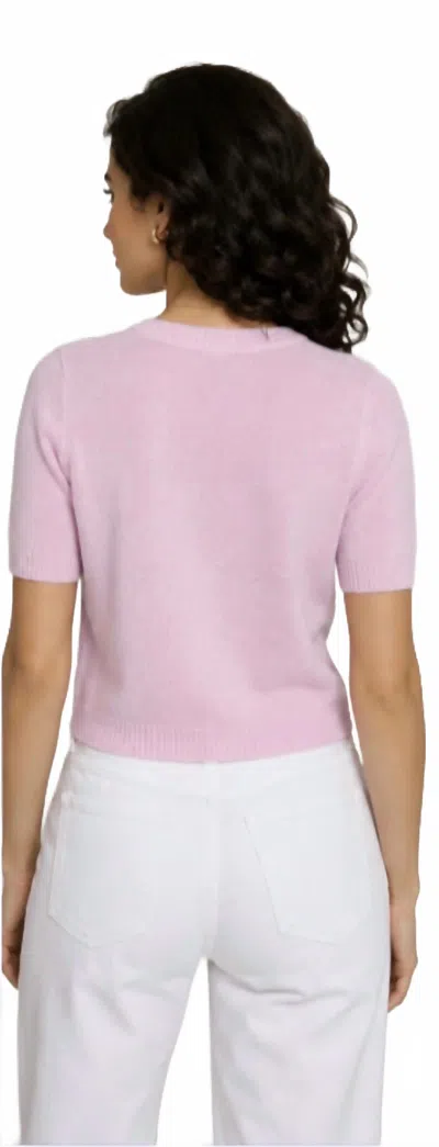 Autumn Cashmere Cropped Short Sleeve Crew Sweater In Peppermint In Green