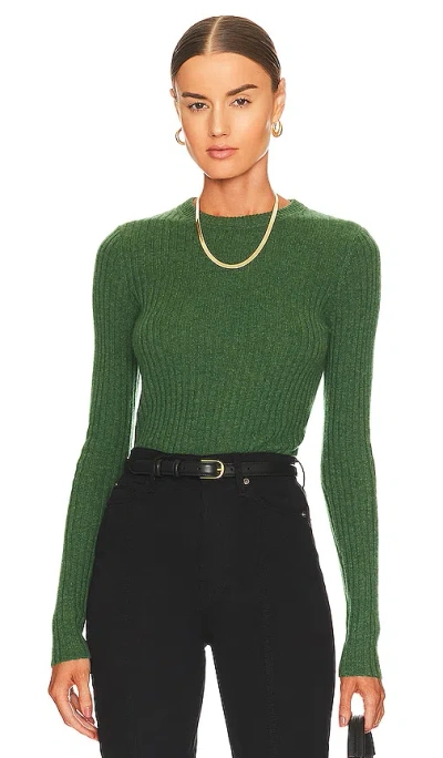 Autumn Cashmere Rib Crew Neck Top In Pickle