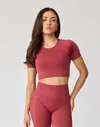 Ava Active Airlite Seamless Crop T-shirt In Multi
