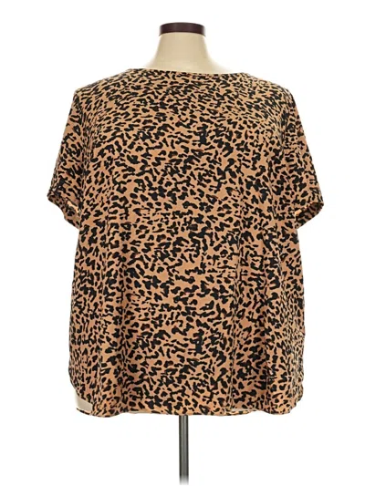 Pre-owned Ava & Viv Short Sleeve Blouse In Brown