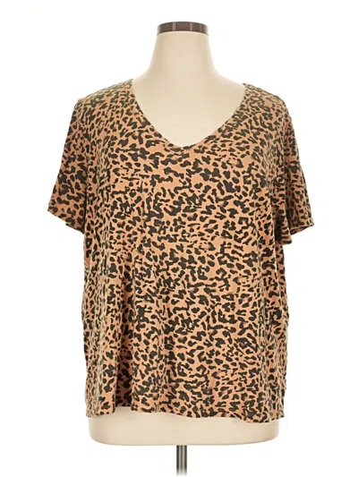 Pre-owned Ava & Viv Short Sleeve T-shirt In Brown