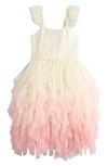 Ava & Yelly Kids' Ombré Ruffle Tutu Party Dress In Multi