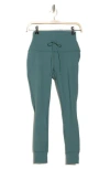 Avalanche Greta Drawstring Joggers In Soft Pine
