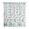Avanti Ombre Leaves Shower Curtain In Green