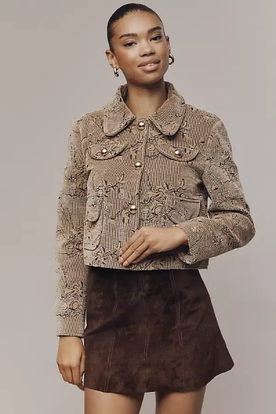 Avec Les Filles Crop Corduroy Jacket In Brown