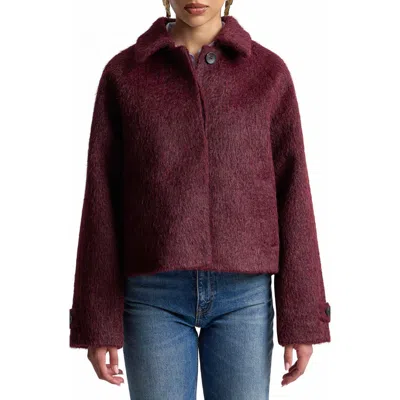 Avec Les Filles Crop Woolly Jacket In Burgundy