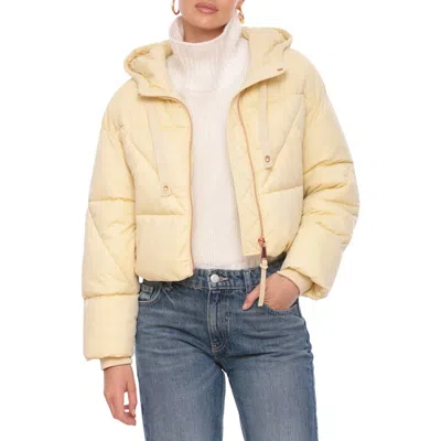 Avec Les Filles Cropped Hooded Puffer Coat In Custard