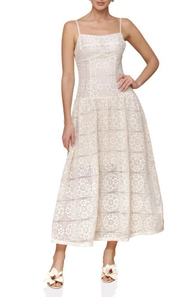 Avec Les Filles Lace Drop Waist Dress