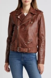 Avec Les Filles Leather Moto Jacket In Coffee