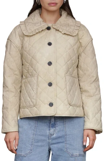 Avec Les Filles Ruffle Collar Quilted Jacket