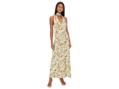 Avec Les Filles Scarf Tie Neck Halter Maxi Dress In Multi