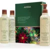 Aveda Invigorating Awe: Rosemary Mint Hair & Body Essentials 3-piece Set $74 Value In Transparent