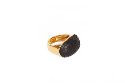 Avenue Chic Women's Exotic Leather Pyramid Ring In Black In Brown