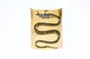 Avenue Chic Women's Gold Leaf Snake Cuff In Gold