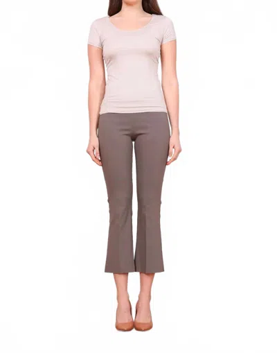 Avenue Montaigne Leo Signature Pant In Taupe In Brown