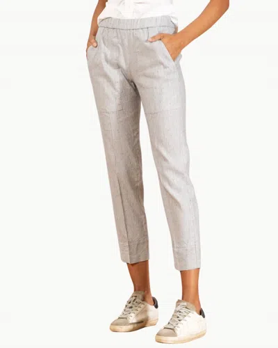 Avenue Montaigne Tonic Pants In Hairline Stripes In Animal Print