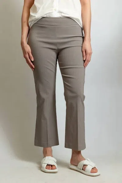 Avenue Montaigne Women's Leo Cropped Flare Pant In Stone In Gray