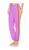 Aviator Nation 5 Stripe Sweatpant