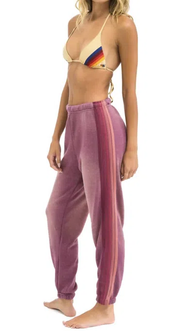 Aviator Nation 5 Stripe Sweatpants In Faded Berry