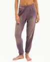Aviator Nation 5 Stripe Womens Sweatpants In Faded Mocha In Purple