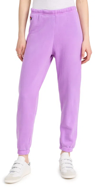 Aviator Nation Bolt Sweatpants Neon Purple/neon Pink