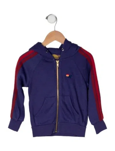 Pre-owned Aviator Nation Babies' Cotton-blend Hooded Sweatshirt In Purple