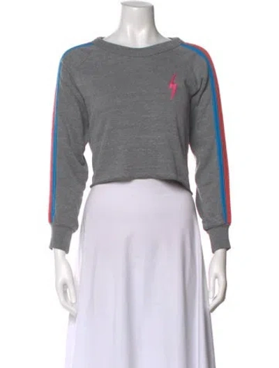 Pre-owned Aviator Nation Crew Neck Long Sleeve Crop Top In Gray