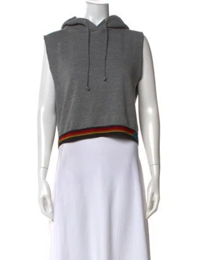 Pre-owned Aviator Nation Crew Neck Sleeveless Hoodie In Gray