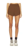 Aviator Nation Essential Club Short In Brown