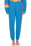 Aviator Nation Five Stripe Sweatpants In Cobalt In Blue