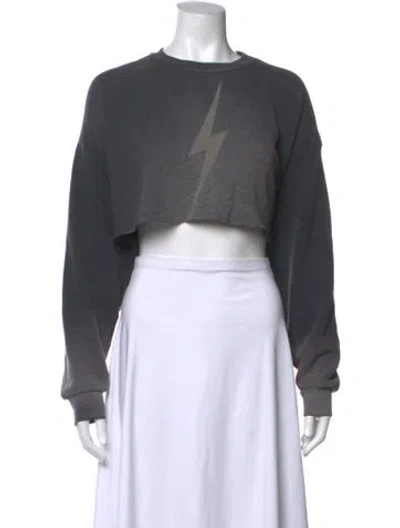 Pre-owned Aviator Nation Graphic Print Crew Neck Crop Top In Grey