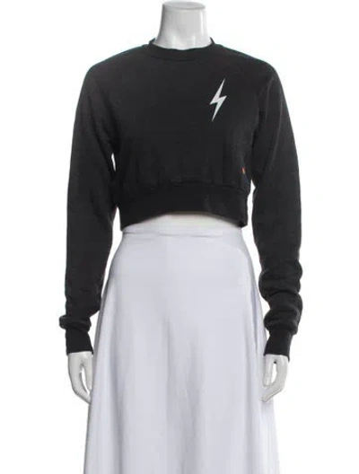 Pre-owned Aviator Nation Graphic Print Crew Neck Crop Top In Grey