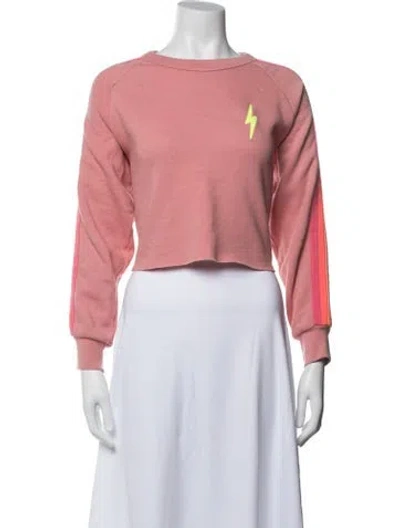 Pre-owned Aviator Nation Graphic Print Crew Neck Crop Top In Pink