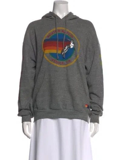 Pre-owned Aviator Nation Graphic Print Crew Neck Hoodie In Gray