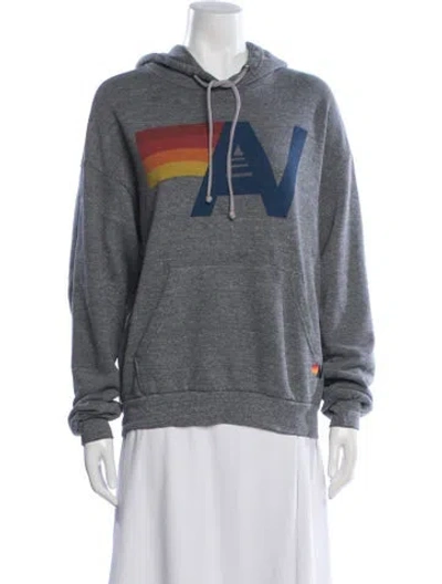 Pre-owned Aviator Nation Graphic Print Crew Neck Hoodie In Gray