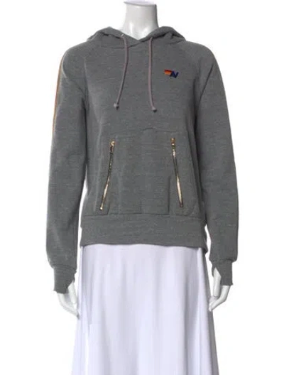 Pre-owned Aviator Nation Graphic Print Crew Neck Hoodie In Gray
