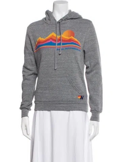 Pre-owned Aviator Nation Graphic Print Crew Neck Hoodie In Grey