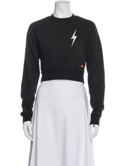 Pre-owned Aviator Nation Graphic Print Crew Neck Sweater In Blue